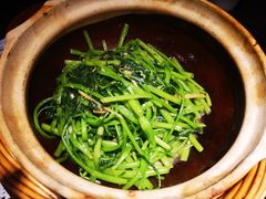 啫啫虾酱空心菜-熠盛粤味(永康路店)