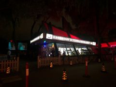 -枫花园汽车电影院(朝阳公园店)