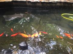 -新竹里馆·花园餐厅(兴苑路店)