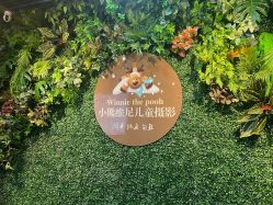 点击看大图 -小熊维尼高端儿童摄影(南山信和店)