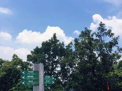 -杭州半山国家森林公园