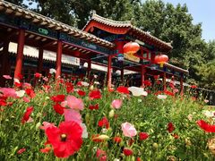 -中卫御苑福膳·养生局(圆明园店)