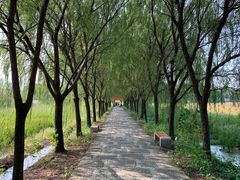-长兴太湖图影湿地文化园