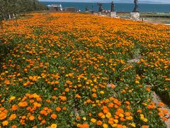 -青海湖二郎剑景区