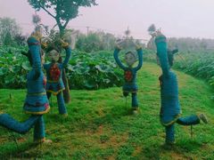 -荷花荡