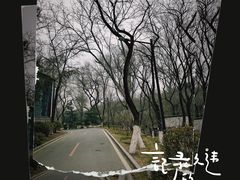 -北宫国家森林公园