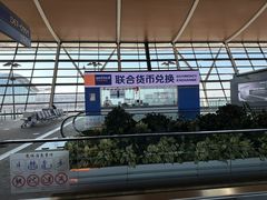 -上海浦东国际机场-T2航站楼