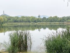 -北坞公园
