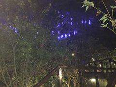 -草山夜未眠景观餐厅