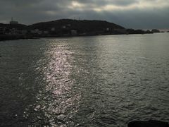 -枸杞岛
