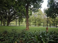 -东莞植物园