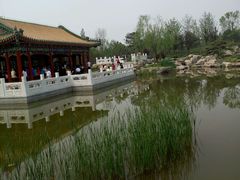 -武清南湖绿博园