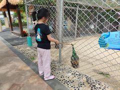 -三亚亚龙湾天域度假酒店