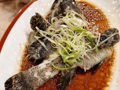 -麒麟中餐厅·经典粤菜·地道菜式老字号(广州长隆酒店)