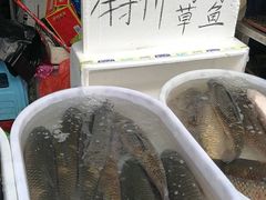 -江杨农产品批发市场