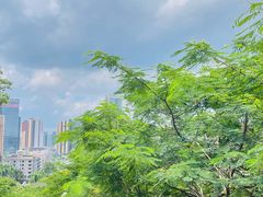 -红花山公园