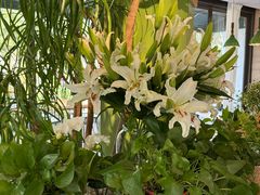 -春暖花开(西溪店)