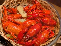 高压锅蒸大虾-蚝翅·海鲜粥·烧烤·宁夏滩羊季(玉米楼店)