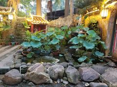 -园林美食城·本土农家菜(杨和镇店)