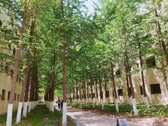 -北京国家会计学院