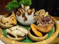 -菌彩云南野生菌火锅(呈贡七彩云南第壹城店)