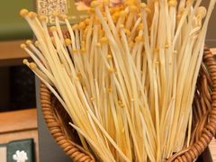-季季山•云南野生菌火锅(上海首店)
