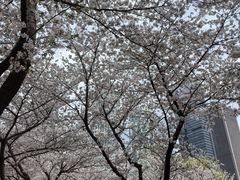 -西北湖绿化广场