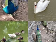 -宁波杭州湾国家湿地公园