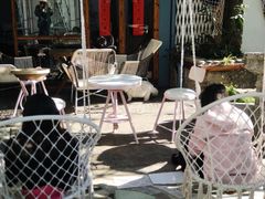 -喵屿·大理花园猫咖