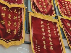 -半岛宠物医院24小时·内窥镜·牙科·碎石中心(府城大道店)