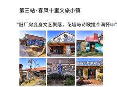 -日照海滨国家森林公园