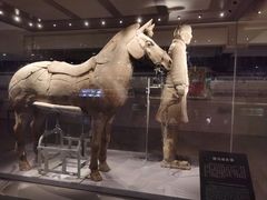 -秦始皇帝陵博物院(兵马俑)
