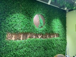 -变美丽半永久纹眉连锁·机器野生眉•洗眉