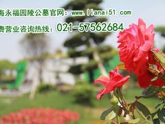 -上海市浦东新区浦东殡仪馆