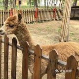 假期来了快带孩子来这，49元就能嗨玩一整天