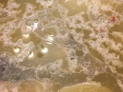 -龙继斑鱼庄(犀浦店)