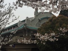 -田园小观园(武大店)