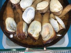 -港畔赶海蒸汽海鲜烧烤自助(仙螺岛店)
