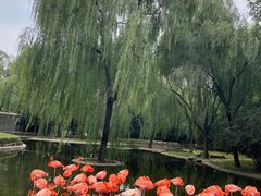 -石家庄市动物园