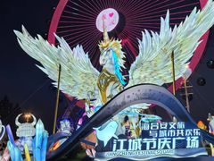 -海合安武汉极地海洋公园