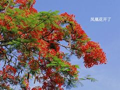 -中山公园