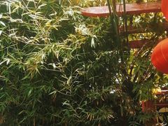 -顺承小院儿
