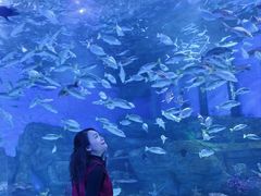 -顺德南宏海立方海洋公园