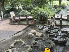 -粤拭轩·广东味道(祥和里店)