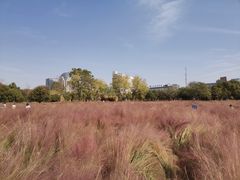 -艾溪湖湿地公园