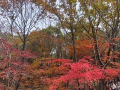-本溪老边沟风景区