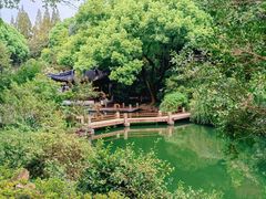 -汇龙潭