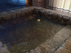 -北京美神宫艺术主题温泉酒店