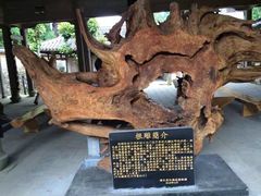 -云中大漈