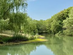 -南湖湿地公园